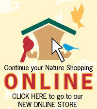 shop online 