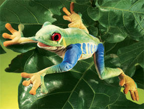 Red-eyed Tree Frog Puppet