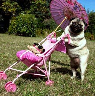 Happy Mother's Day!
